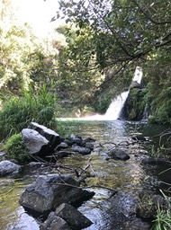 IMG_8748