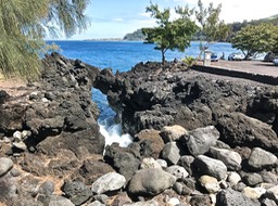 IMG_8784