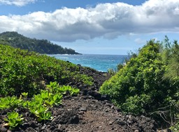 IMG_8867
