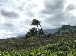 IMG_8881