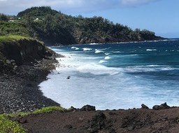 IMG_8911