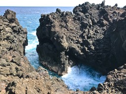 IMG_8919