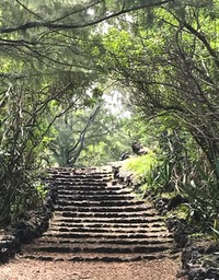 IMG_8940
