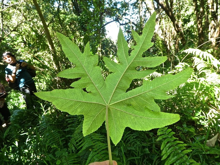 P1640012