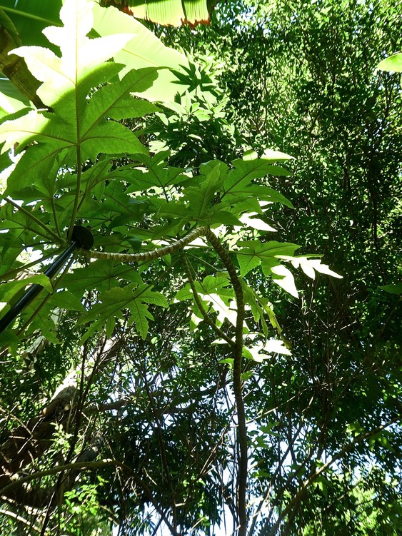 P1640014