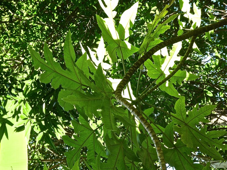 P1640015