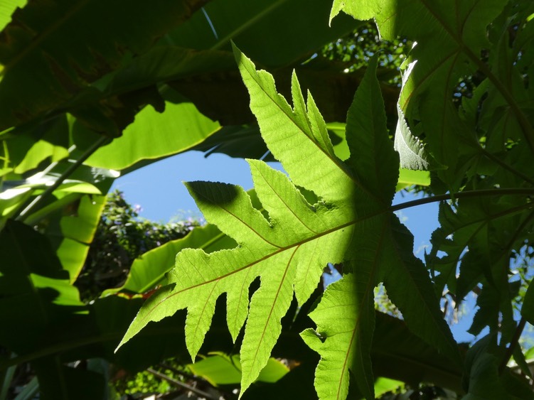 P1640016