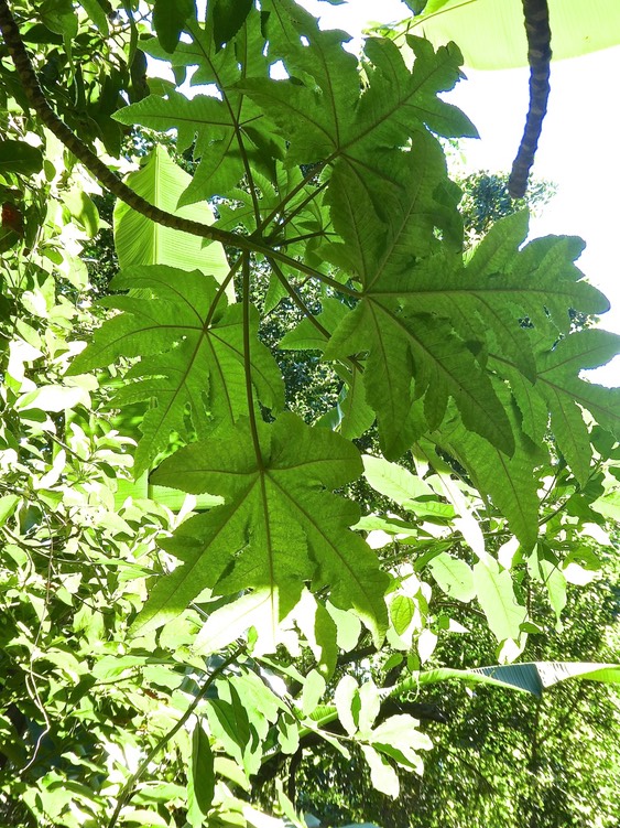 P1640023