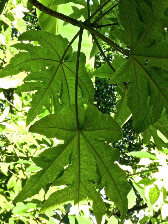 P1640024
