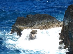 P1640072