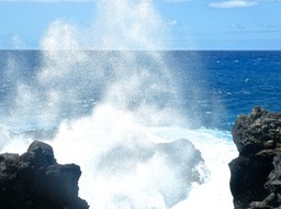 P1640158