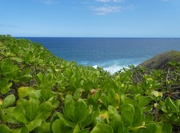 P1640184