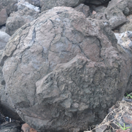 Boule de lave accrétionnée 9763.jpeg