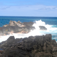 Manapany près des ruines de l'embarcadère 9838.jpeg
