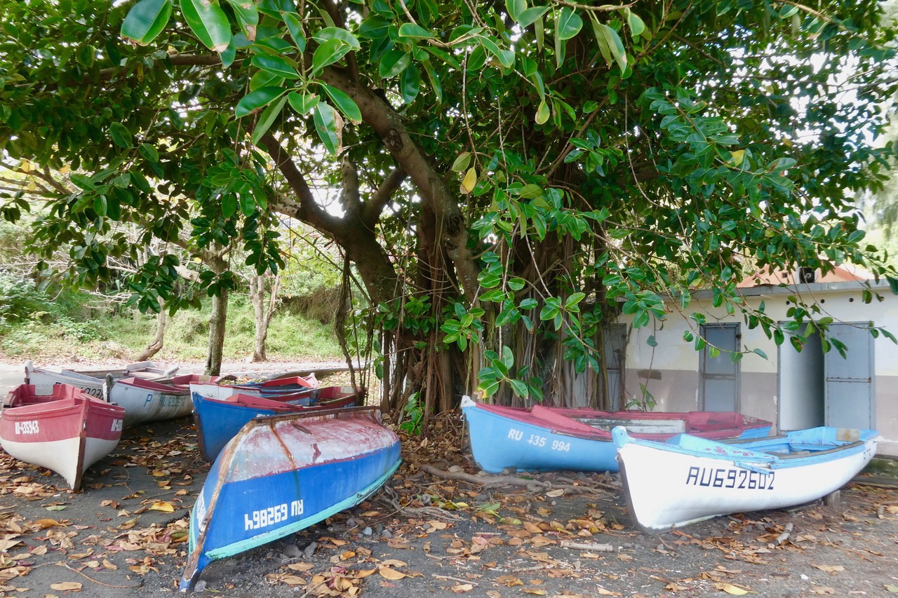 barques de pêcheurs à la Marine Langevin.jpeg