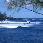 IMG_5084.JPG