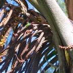 IMG_5101.JPG