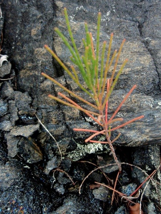 P1010079