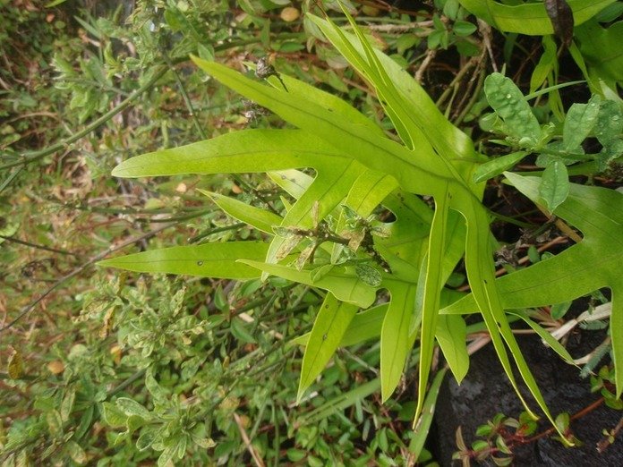P1010089