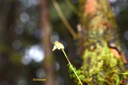 DSC_9475
