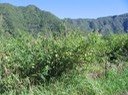 IMG_5013