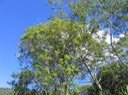 IMG_5015