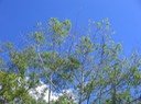 IMG_5016
