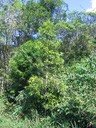 IMG_5025