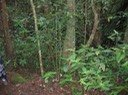 IMG 5029