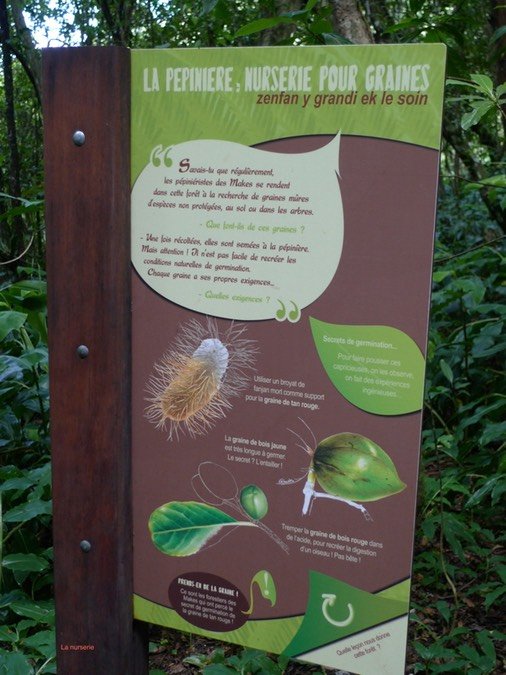 P1000649