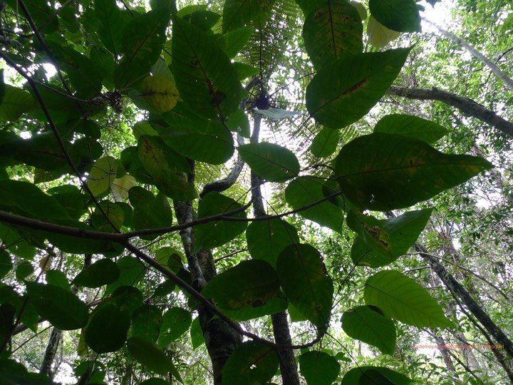 P1000657