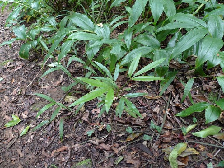 P1000676