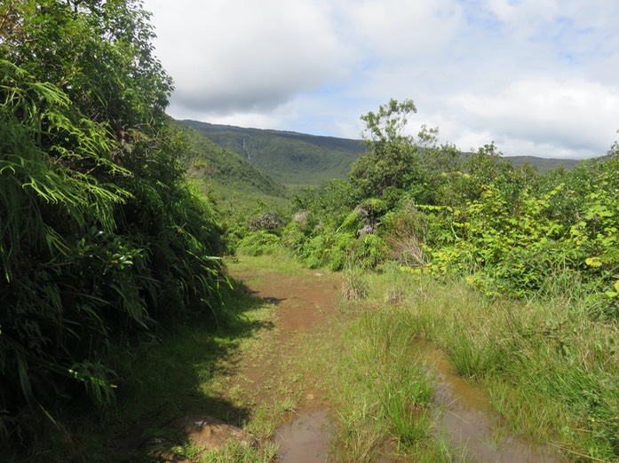 Au début du sentier