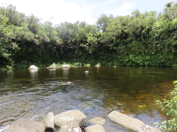 Le Bassin du pique-nique
