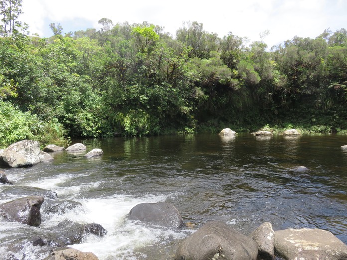 Le Bassin du pique-nique