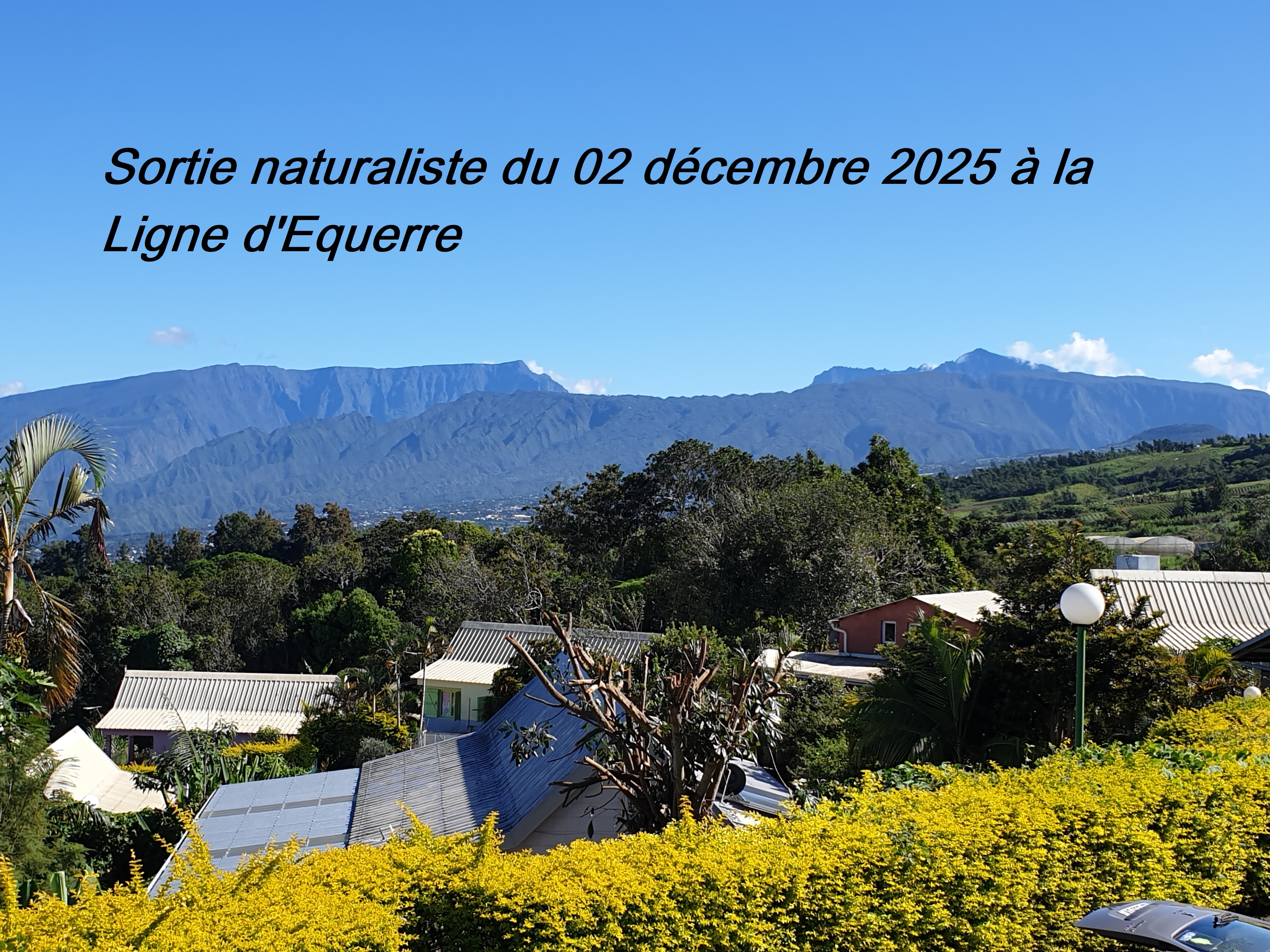 1- La Ligne d'Equerre.jpg