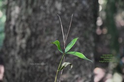 DSC_1170