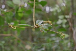 DSC_1205