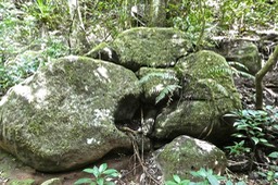 P1018845