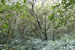 P1019033