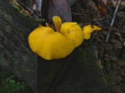 P1310218
