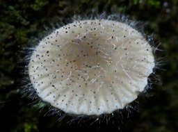 P1310349