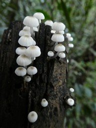 P1310492