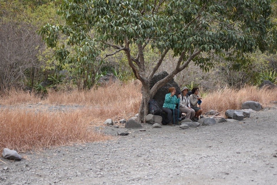 3 - Vaine attente d'un transport jusqu'a Grand Place.jpg