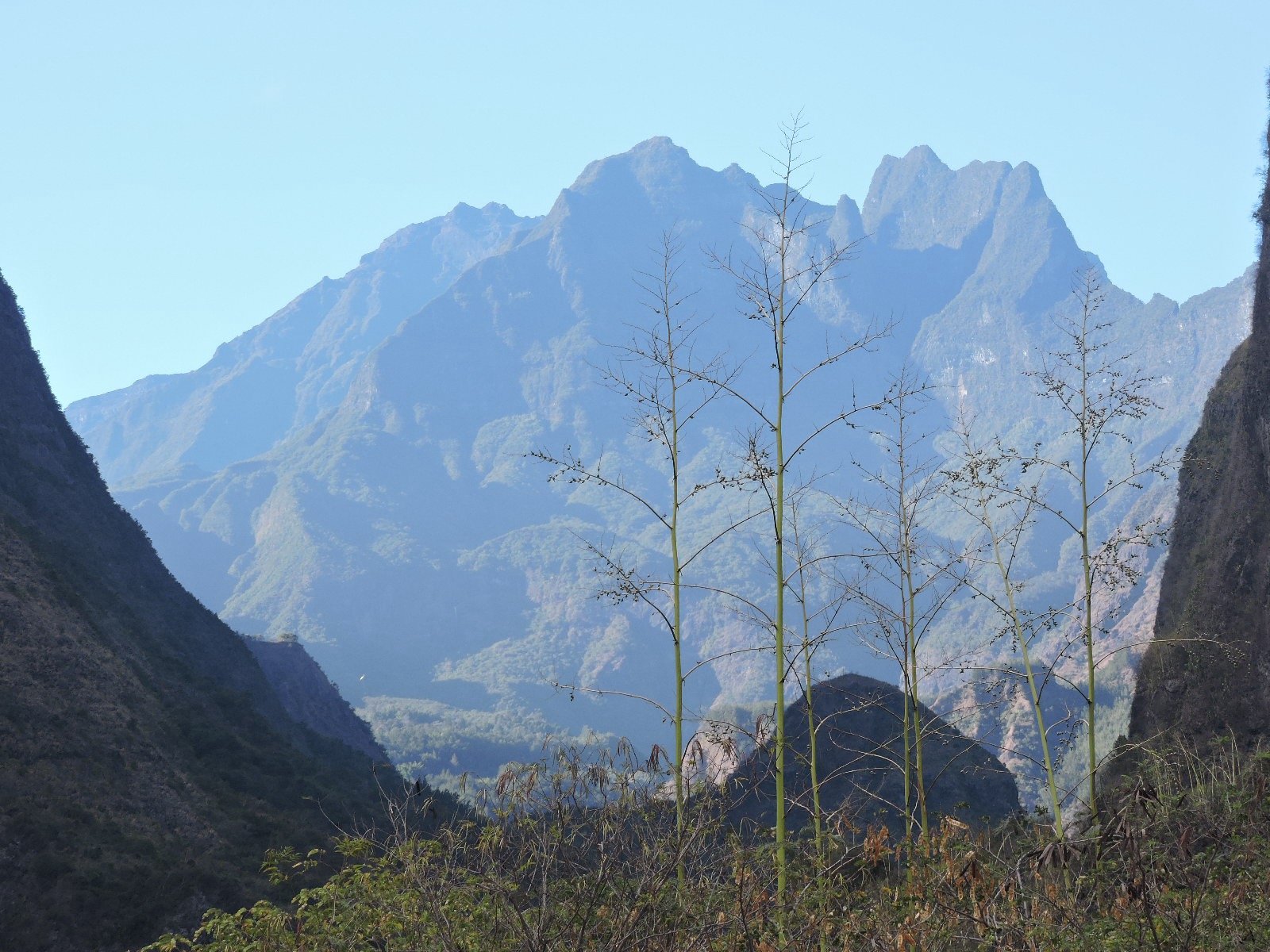 3 Piton des Neiges vu de la riviere des Galets .JPG