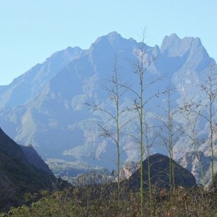 3 Piton des Neiges vu de la riviere des Galets .JPG