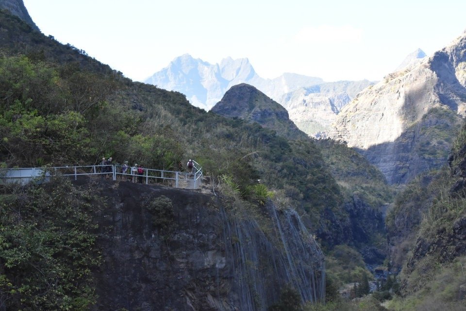 8 - 1er arret botanique / Bois de paille en queue accroche a la falaise.jpg