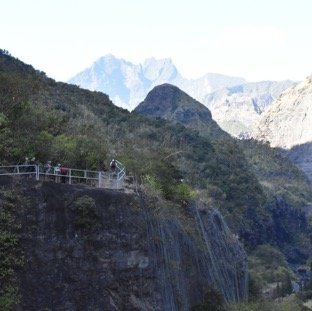 8 - 1er arret botanique / Bois de paille en queue accroche a la falaise.jpg