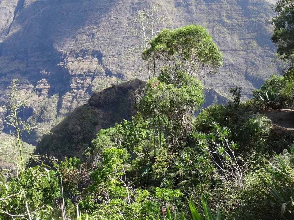 10 - Descente de la crete d'Aurere 2.jpg