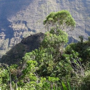 10 - Descente de la crete d'Aurere 2.jpg